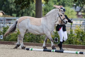 Bild 16 - Pony Akademie Turnier
